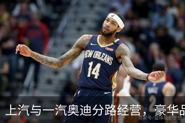 上汽与一汽奥迪分路经营，豪华品牌冲突暂时结束
