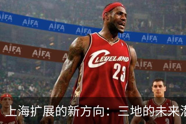 上海扩展的新方向：三地的未来潜力分析