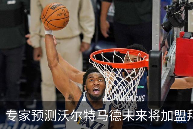 专家预测沃尔特马德未来将加盟拜仁，接替凯恩位置