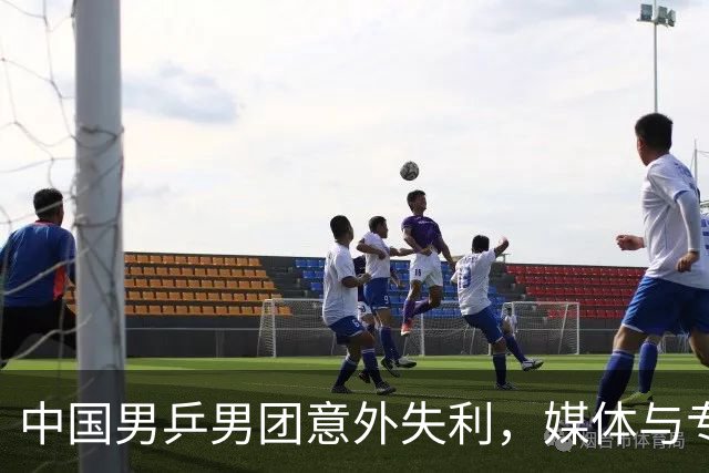 中国男乒男团意外失利，媒体与专家呼吁多元化阵容