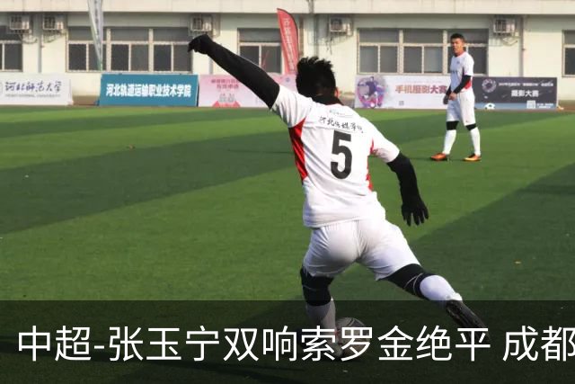 中超-张玉宁双响索罗金绝平 成都连扳两球2-2国安4连平