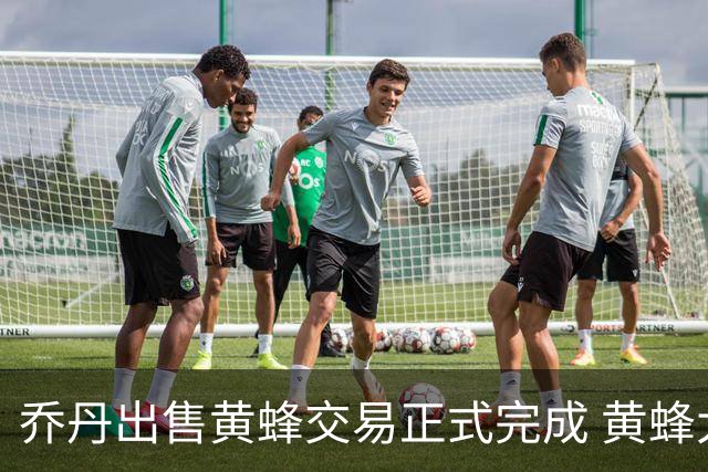 乔丹出售黄蜂交易正式完成 黄蜂大老板易主