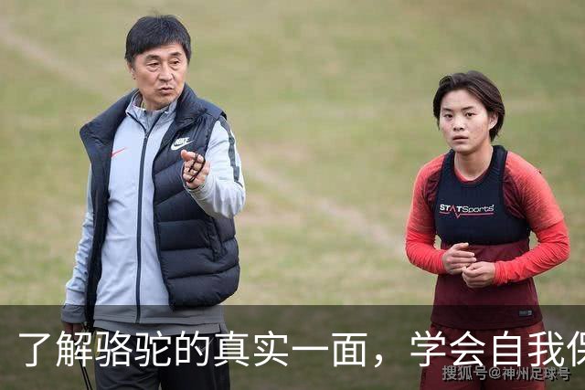 了解骆驼的真实一面，学会自我保护的重要性