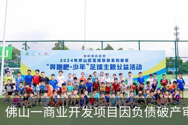 佛山一商业开发项目因负债破产审查
