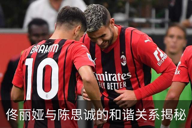 佟丽娅与陈思诚的和谐关系揭秘