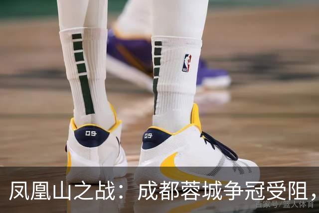 凤凰山之战：成都蓉城争冠受阻，大连英博能否逆袭？