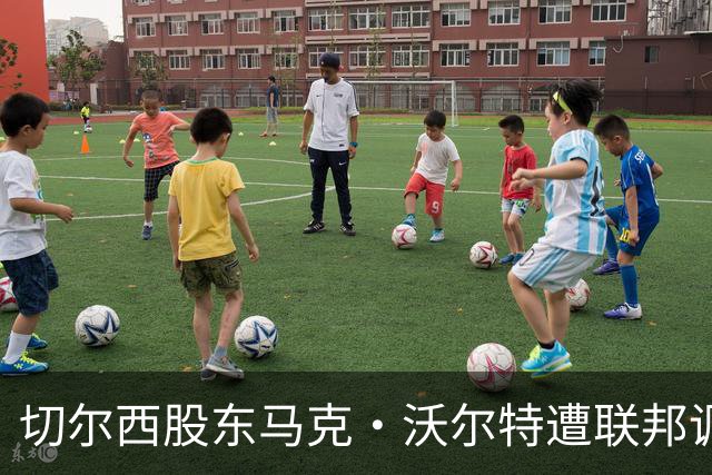 切尔西股东马克·沃尔特遭联邦调查，或将出售12.8%股份