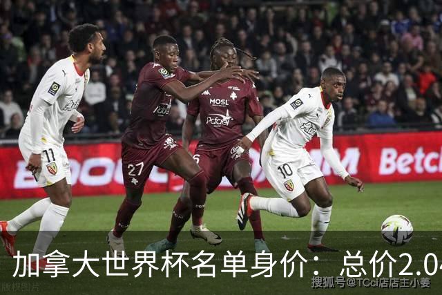 加拿大世界杯名单身价：总价2.04亿欧，戴维斯4000万欧最高