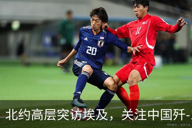 北约高层突访埃及，关注中国歼-16战机实力