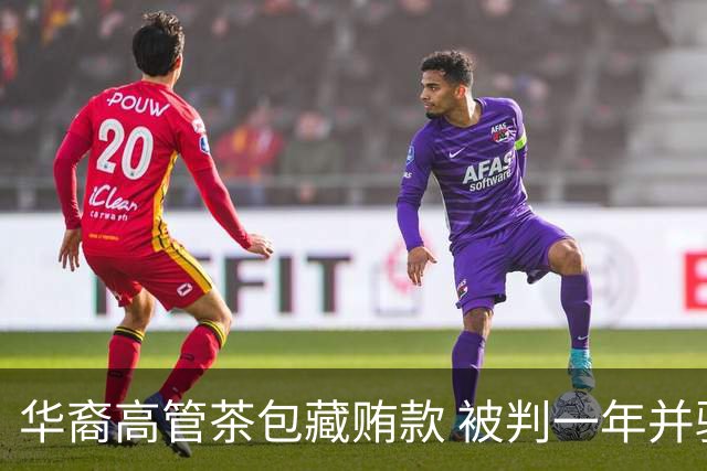 华裔高管茶包藏贿款 被判一年并驱逐