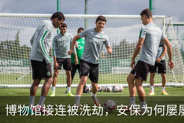 博物馆接连被洗劫，安保为何屡屡告急
