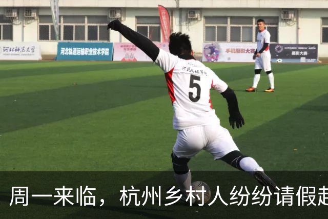 周一来临，杭州乡村人纷纷请假赴山核桃采摘