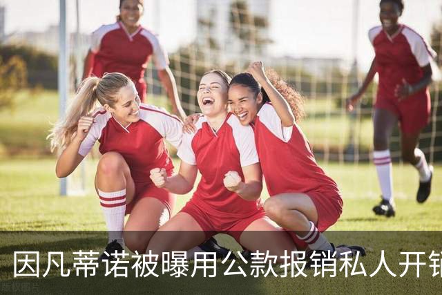 因凡蒂诺被曝用公款报销私人开销