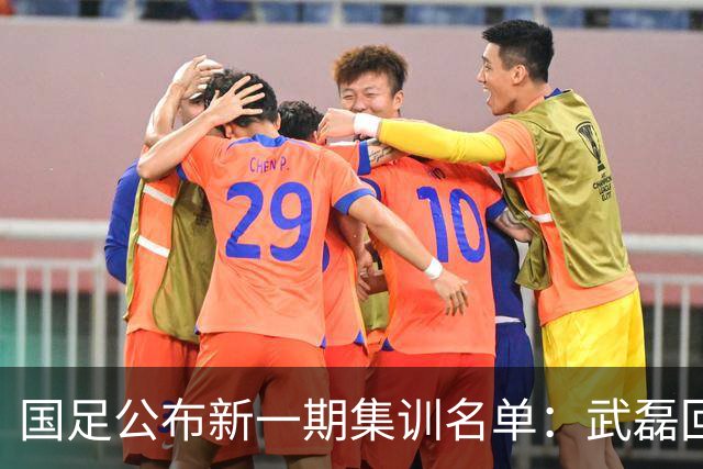 国足公布新一期集训名单：武磊回归，李昊首次入选