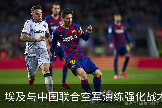 埃及与中国联合空军演练强化战术能力