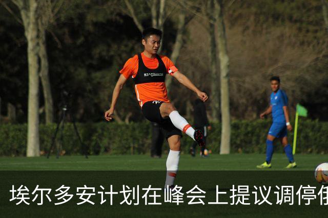 埃尔多安计划在峰会上提议调停俄乌冲突