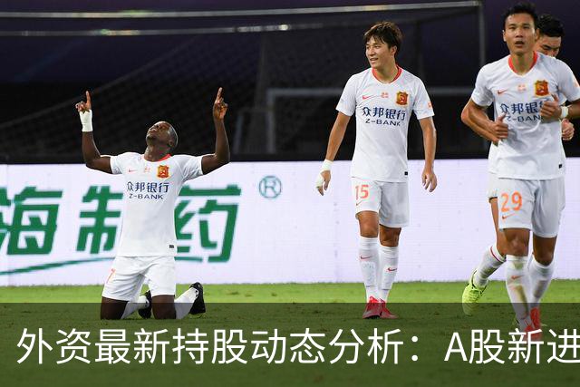 外资最新持股动态分析：A股新进股份排名前十