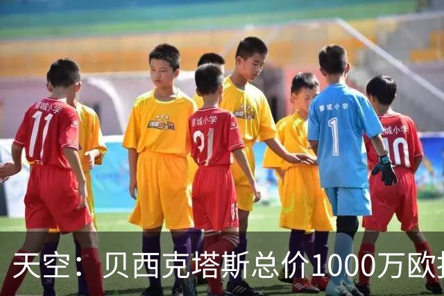 天空：贝西克塔斯总价1000万欧报价努贝尔遭拒，拜仁要价2000万欧