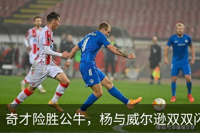 奇才险胜公牛，杨与威尔逊双双闪耀