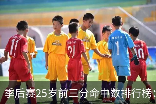季后赛25岁前三分命中数排行榜：塔图姆第一 爱德华兹第二 KD第四