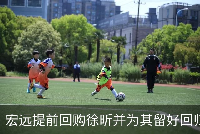 宏远提前回购徐昕并为其留好回归通道