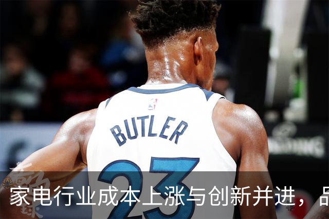 家电行业成本上涨与创新并进，品牌竞争加剧