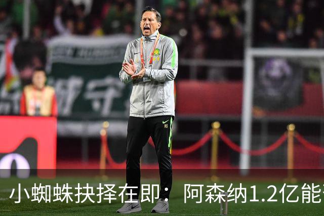 小蜘蛛抉择在即：阿森纳1.2亿能否打动他？