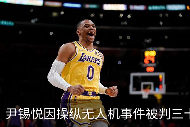 尹锡悦因操纵无人机事件被判三十年有期徒刑