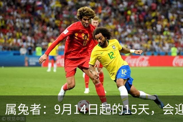属兔者：9月14日起的15天，会迎来喜悦的泪水