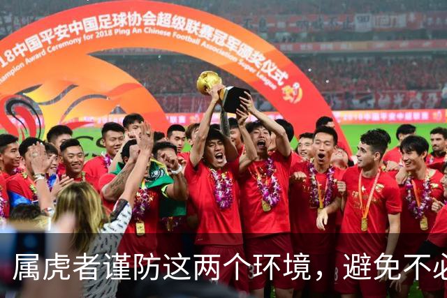 属虎者谨防这两个环境，避免不必要的干扰