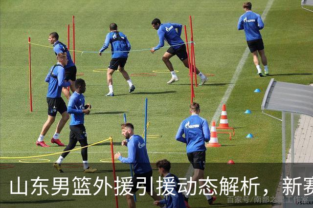 山东男篮外援引援动态解析，新赛季阵容渐成形