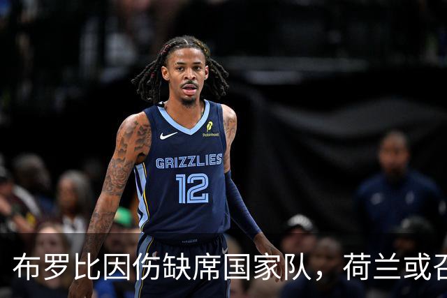 布罗比因伤缺席国家队，荷兰或召韦霍斯特或齐尔克泽替补