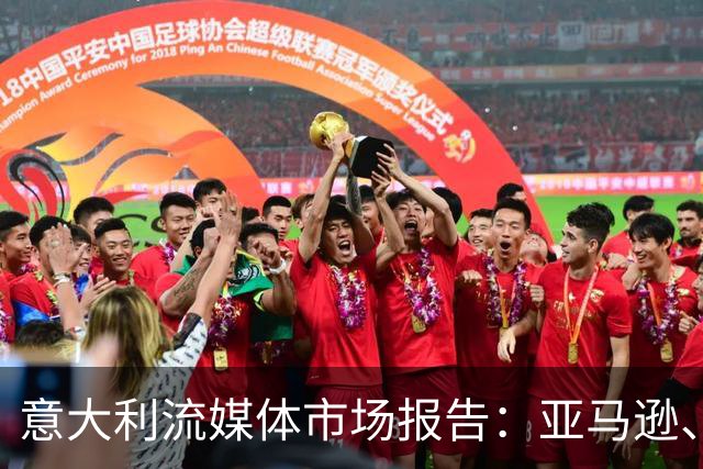 意大利流媒体市场报告：亚马逊、Netflix及Sky用户数统计