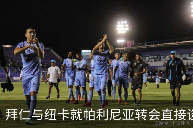 拜仁与纽卡就帕利尼亚转会直接谈判
