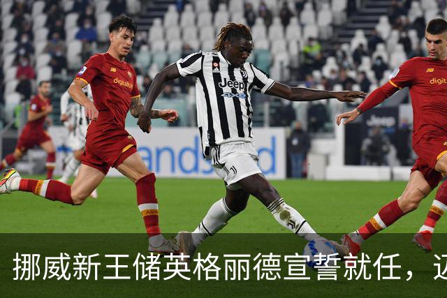 挪威新王储英格丽德宣誓就任，迈向女王之路