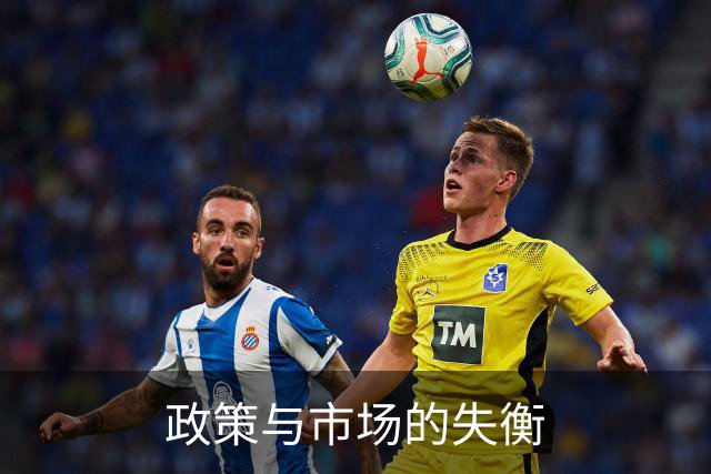 政策与市场的失衡