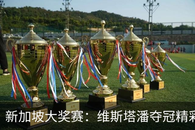 新加坡大奖赛：维斯塔潘夺冠精彩回顾