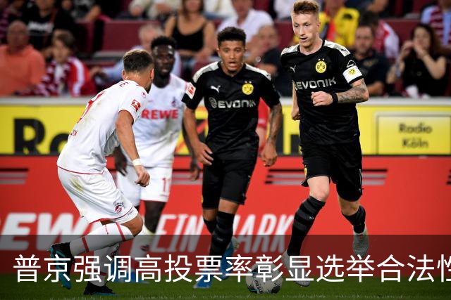 普京强调高投票率彰显选举合法性