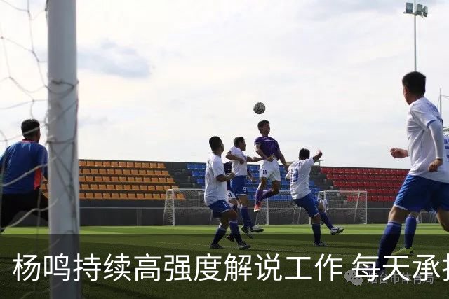 杨鸣持续高强度解说工作 每天承担一场比赛解说任务