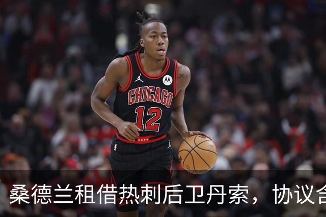 桑德兰租借热刺后卫丹索，协议含强制买断条款
