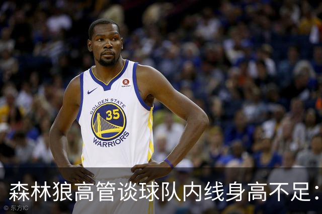 森林狼高管谈球队内线身高不足：这是交易的代价 我们会持续补强