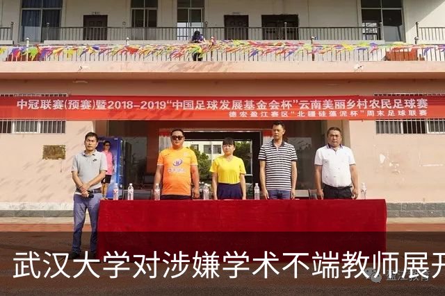 武汉大学对涉嫌学术不端教师展开调查行动