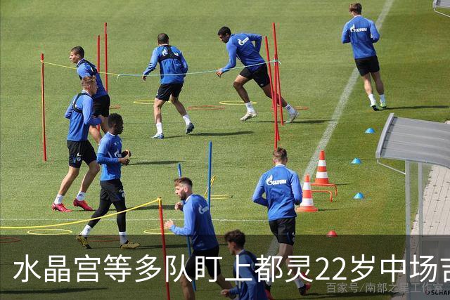 水晶宫等多队盯上都灵22岁中场吉内蒂斯