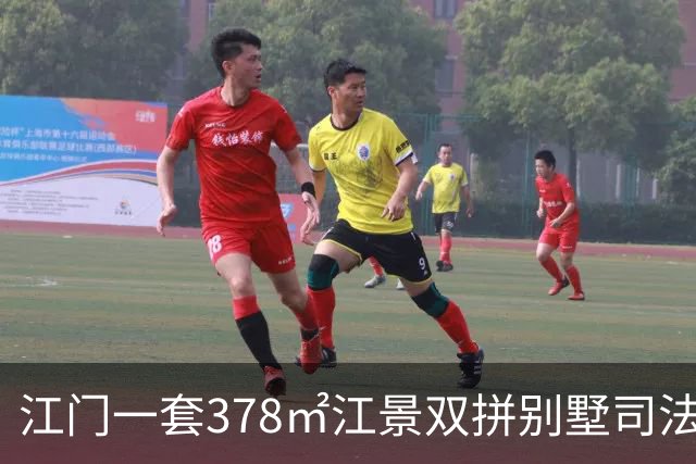 江门一套378㎡江景双拼别墅司法拍出272.81万元