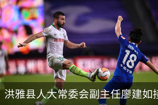 洪雅县人大常委会副主任廖建如接受调查