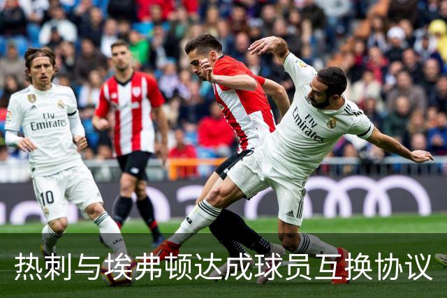 热刺与埃弗顿达成球员互换协议