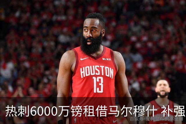 热刺6000万镑租借马尔穆什 补强锋线瞄准更高目标