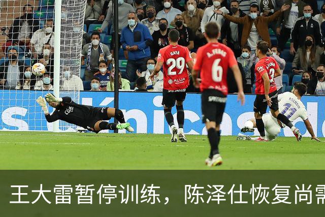 王大雷暂停训练，陈泽仕恢复尚需时日