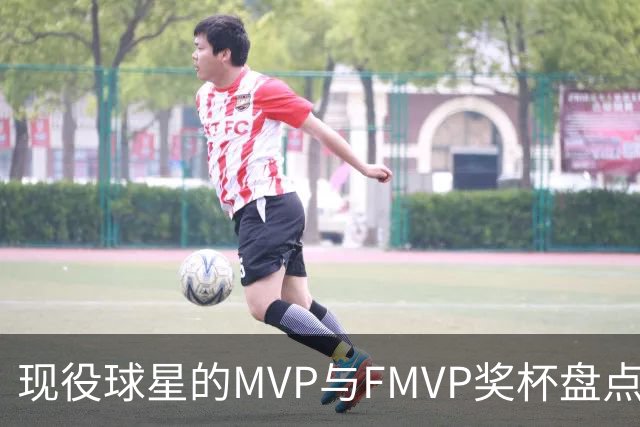 现役球星的MVP与FMVP奖杯盘点：詹姆斯领跑