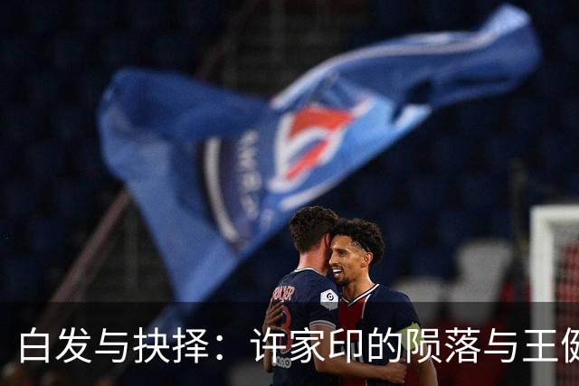 白发与抉择：许家印的陨落与王健林的自救